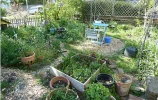 Garten mai 21 2 Kopie-1.jpg