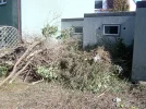 Garten entrümpelt ohne Fichten.webp