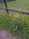 20220531_092630.webp