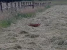 20220531_085902.webp
