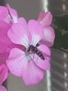 20220601_093015.webp
