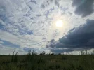 094B6C86-8584-4579-99F4-EEF5A9EDD234.webp