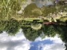 95B3F961-1709-47FF-A32B-A35808AF92B1.webp