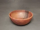 DSCN3191.webp