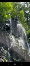 Screenshot_2022-06-05-11-18-56-916_gallery.photomanager.picturegalleryapp.imagegallery.webp