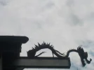 DSCN5210.JPG