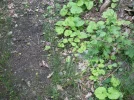 PTDC0015.webp