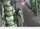 1654548151547.webp