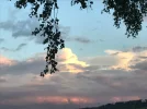 1654630071167.webp