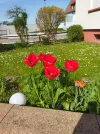 IMG_20220419_161618.webp