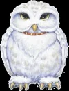 1654975434835.webp
