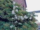 20220612_092722.webp