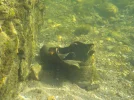 DSCN5222.JPG