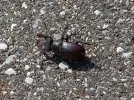 IMG_20220613_093719 (2).webp