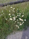 20220614_095017.webp