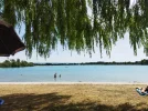 IMG_20220617_140429.jpg