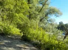 DSCN5217.JPG