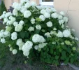IMG_20220618_193947 (2).webp