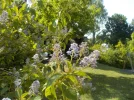 DSCN5246.webp