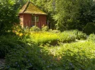 DSCN5248.webp