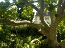 DSCN5256.webp