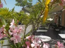 DSCN5260.webp