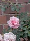 20220620_123934.webp
