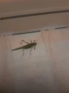 20220625_074248.webp