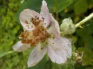 DSCN5283.webp