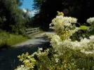 DSCN5275.webp