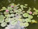 1656261785435.webp