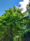 20220522_141706.webp