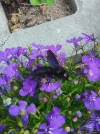 IMG_20220611_101044.webp