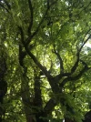 1656363529020.webp