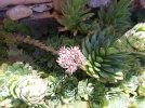 20220628_120434.webp