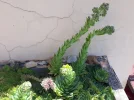 20220628_120451.webp