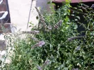 20220628_120516.webp