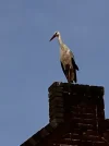 1656575149670.jpeg