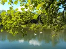 DSCN5312.webp