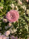 888FDBB0-B9B5-460B-AD4D-C9F5FE294EC1.webp