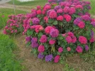 IMG_20220704_135304 (2).webp