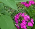 IMG_20220704_135417 (2).webp
