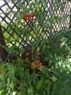 IMG_20220706_153720.webp
