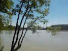 DSCN5324.webp