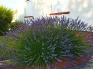 IMG_20220705_194700.webp