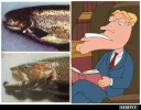 !a fisch.webp
