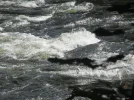 IMG_4956.webp
