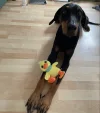1658318620969.webp