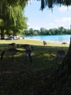 IMG_20220721_140438.webp