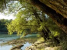 DSCN5351.webp